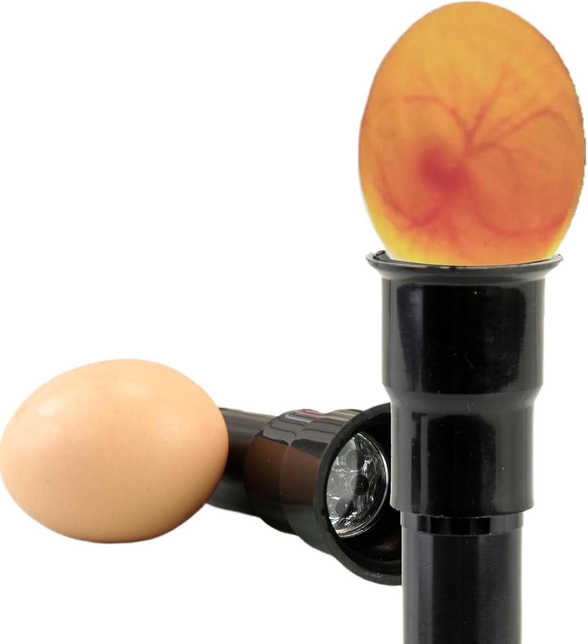 Egg Candler Candling Light Egg Development Tester Flashlight for Chicken Duck and Goose Eggs, 2PCS(Black)