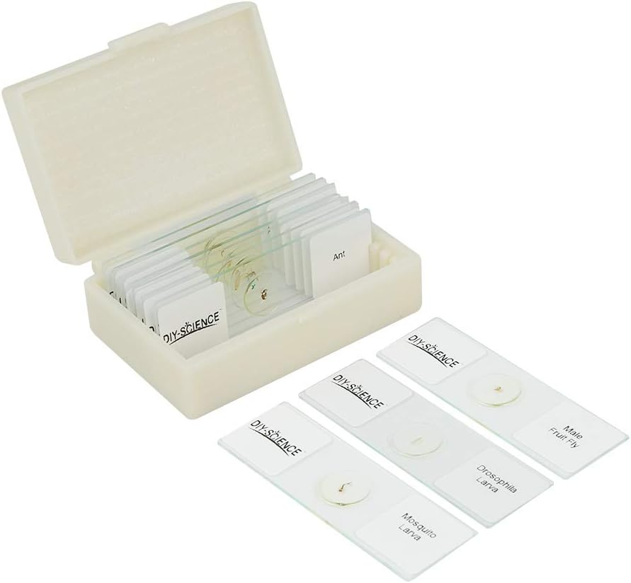 Prepared Whole Insects Microscope Slides Set, 10pcs Specimens for Kids Students Biology Class, Educational Gift
