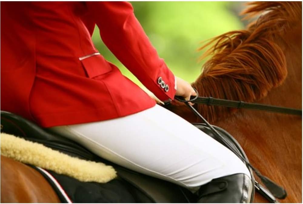 Riding Crop for Horse Fiberglass Shaft with Leather Double Slapper