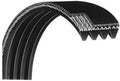Main Motor Drive Belt 19” L, 10 Ribs Micro v Poly V Transmission Belt - High Strength Black Rubber OEM Equivalent Replacement P/N 3204201 for Treadmill Work with Life Fitness T3