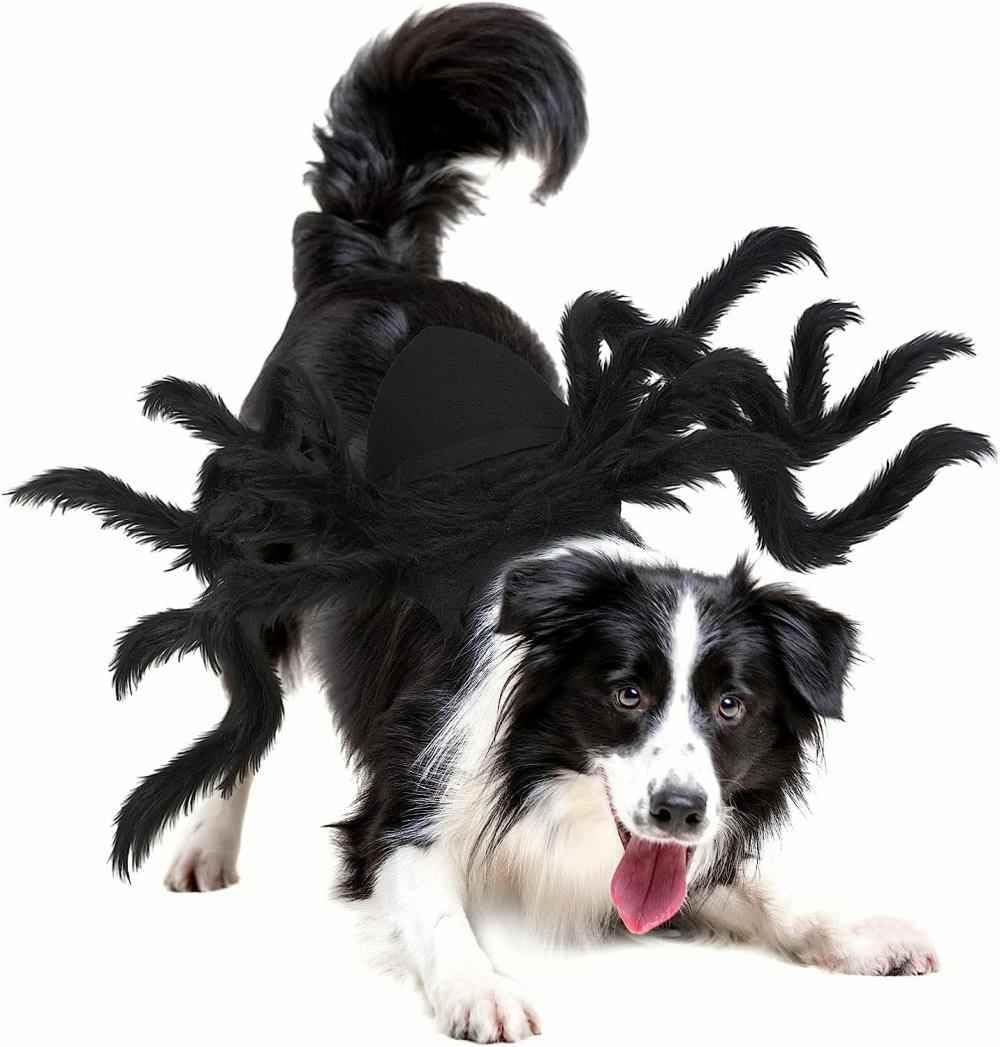 Spider Pet Costume for Halloween Cats & Small Dogs, Black