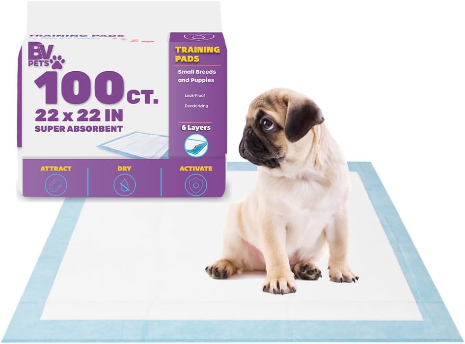 Puppy Pads Leak-Proof 100 Count 22"x 22" - Absorbent Pee Pads for Dogs with 6-Layer Design, Rapid Dry Sheet &