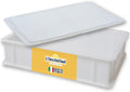 Home Refrigerator Size Dough Proofing Box Tray