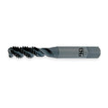 Spiral Flute Tap, Bottom, Bright, #6-32