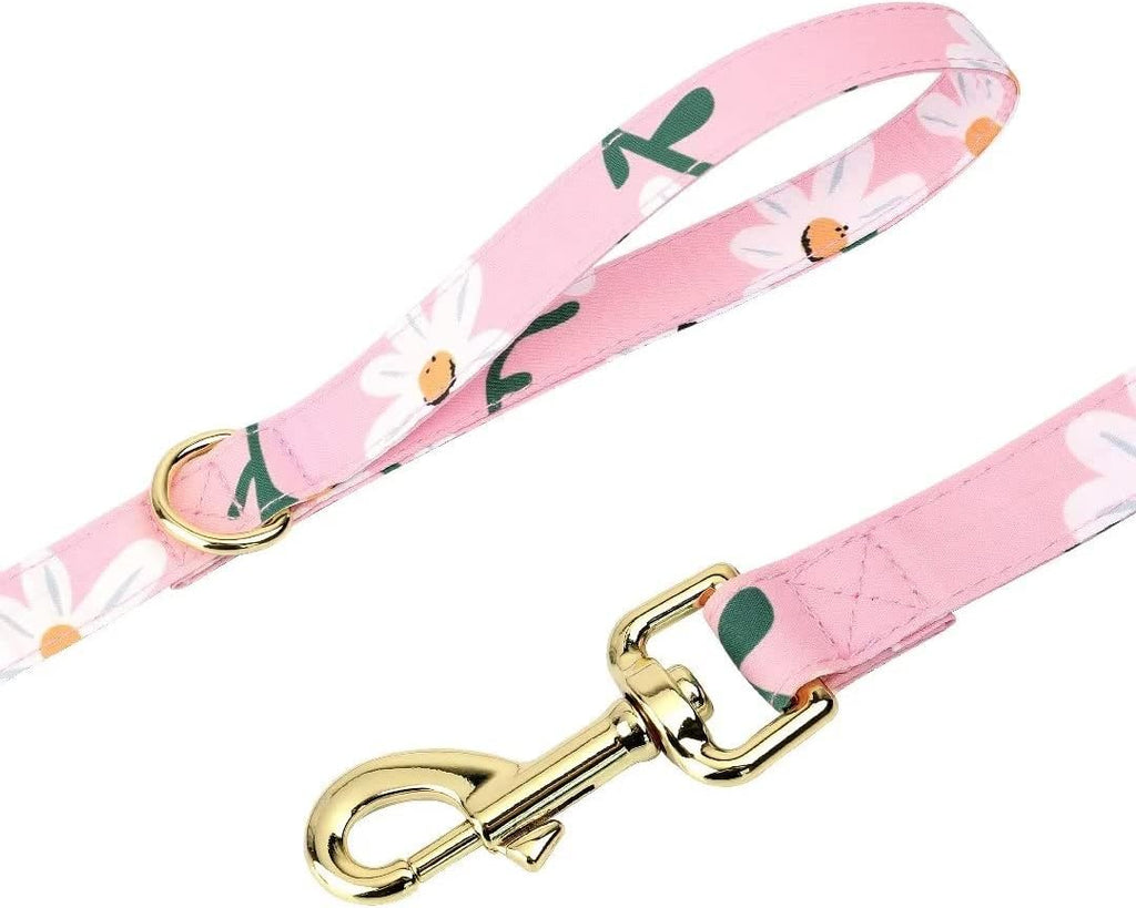 Cute Girl Dog Collars, Harnesses & Leashes Set - Adjustable Dog Collar and Leash Set with Flower - Soft Mesh Dog Vest