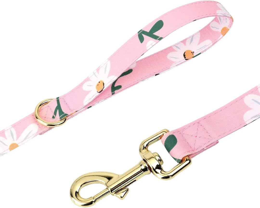 Cute Girl Dog Collars, Harnesses & Leashes Set - Adjustable Dog Collar and Leash Set with Flower - Soft Mesh Dog Vest
