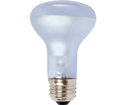 Agrosun/Dayspot BURP413 Incandescent Growlight Plant Bulb, 60 Watt
