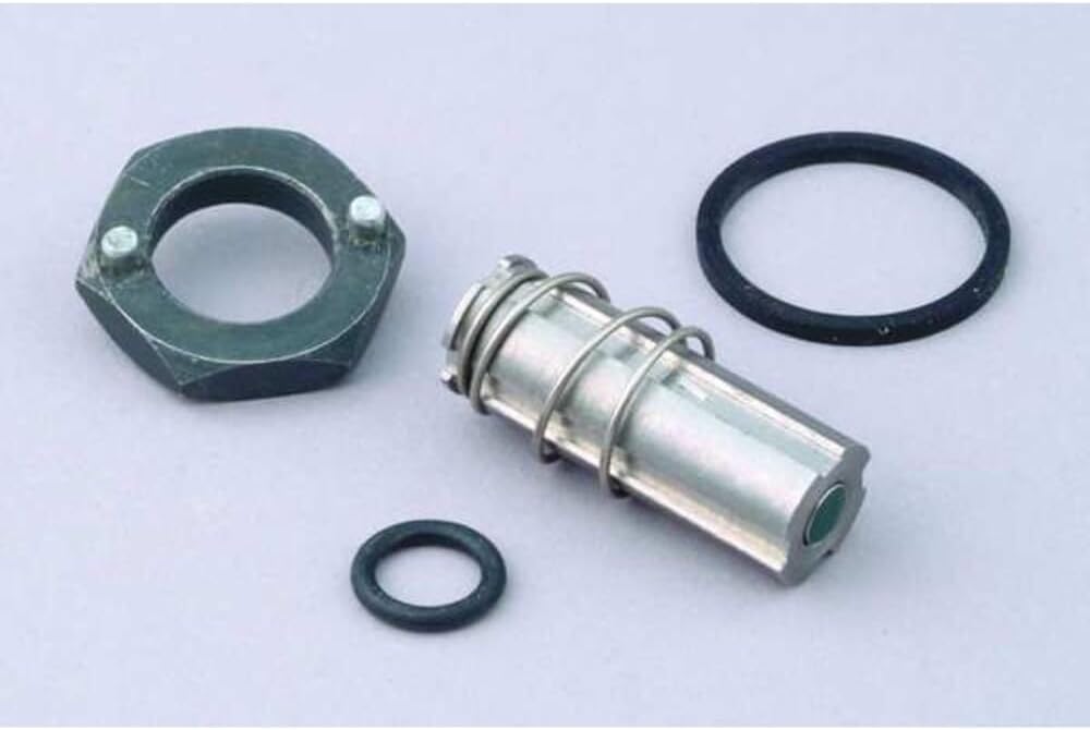 Dayton Valve Rebuild Kit,With Instructions 066068-1 Each