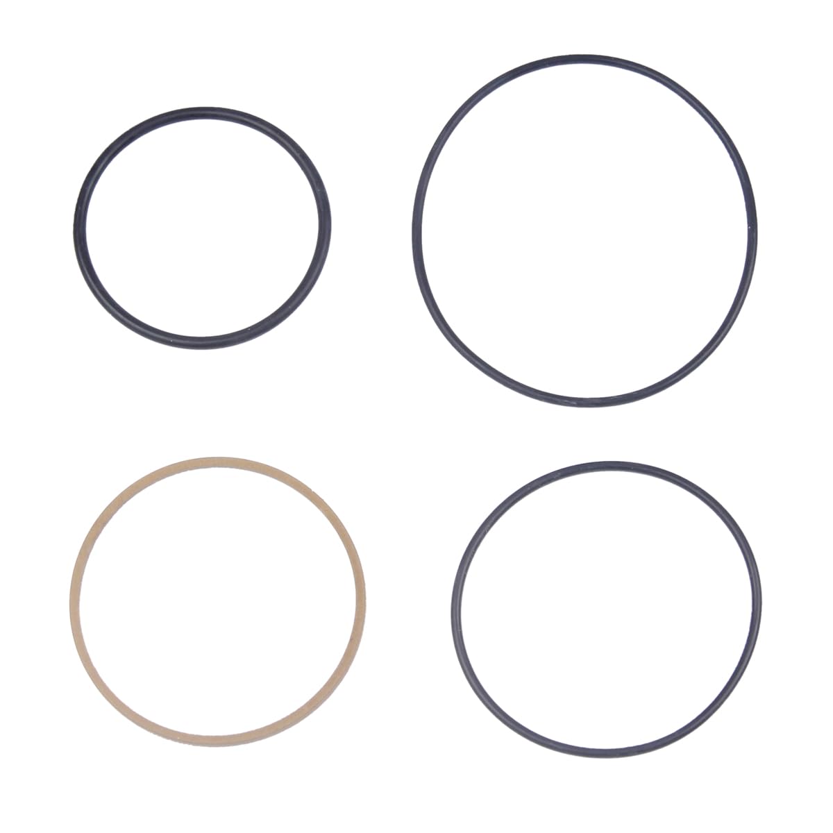BH-Motor New Repair Seal Kit for Evinrude ETEC 75-115hp ETEC 2004-2012 Trim Piston Replace 5008985 FSM016