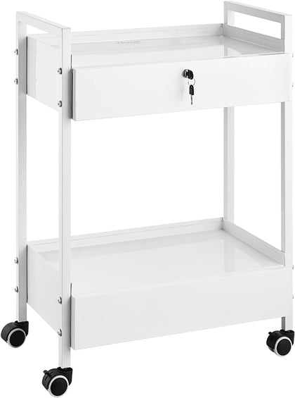 Rolling Medical Cart with Lockable Drawer, White Paint Stainless Steel Utility Cart, 2 Tiers Mobile Esthetician