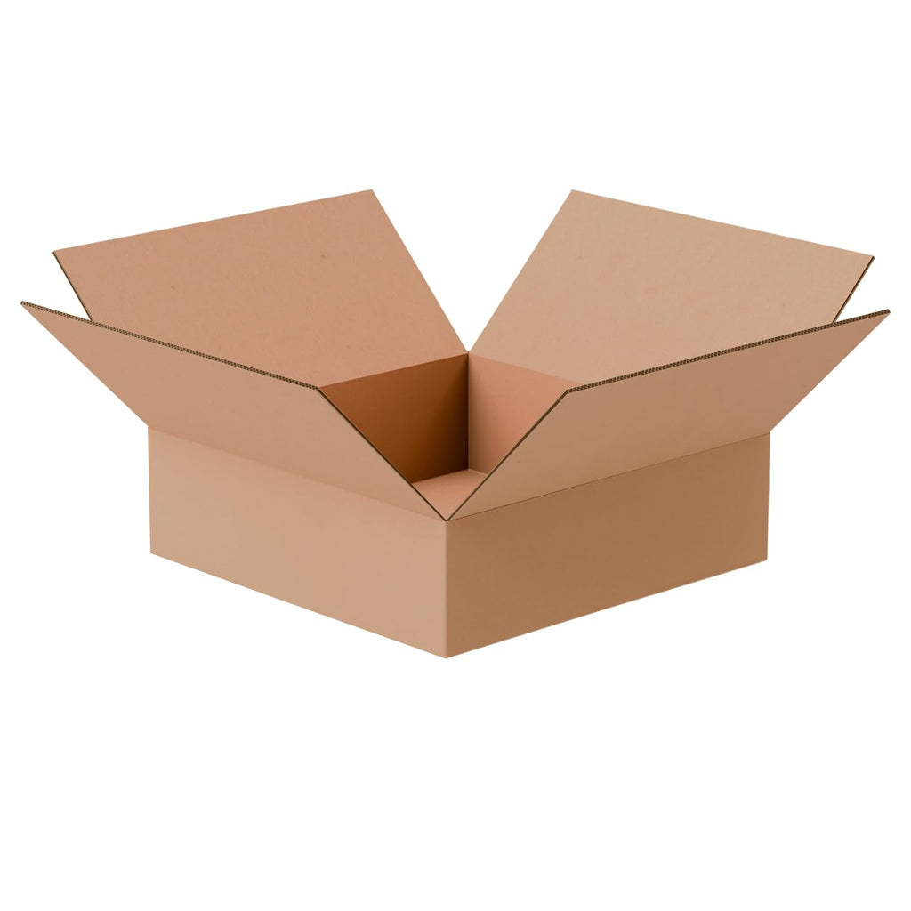 10"x10"x3" Corrugated Shipping Boxes 25-Pack