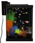 20 Gallon Complete Fish Tank Kit