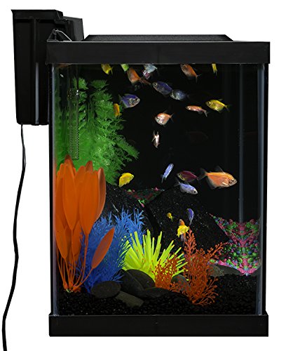 20 Gallon Complete Fish Tank Kit