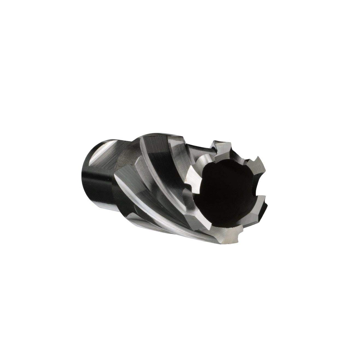 Drill America 13/16" X 1" High Speed Steel Annular Cutter with Pilot, DWC Series