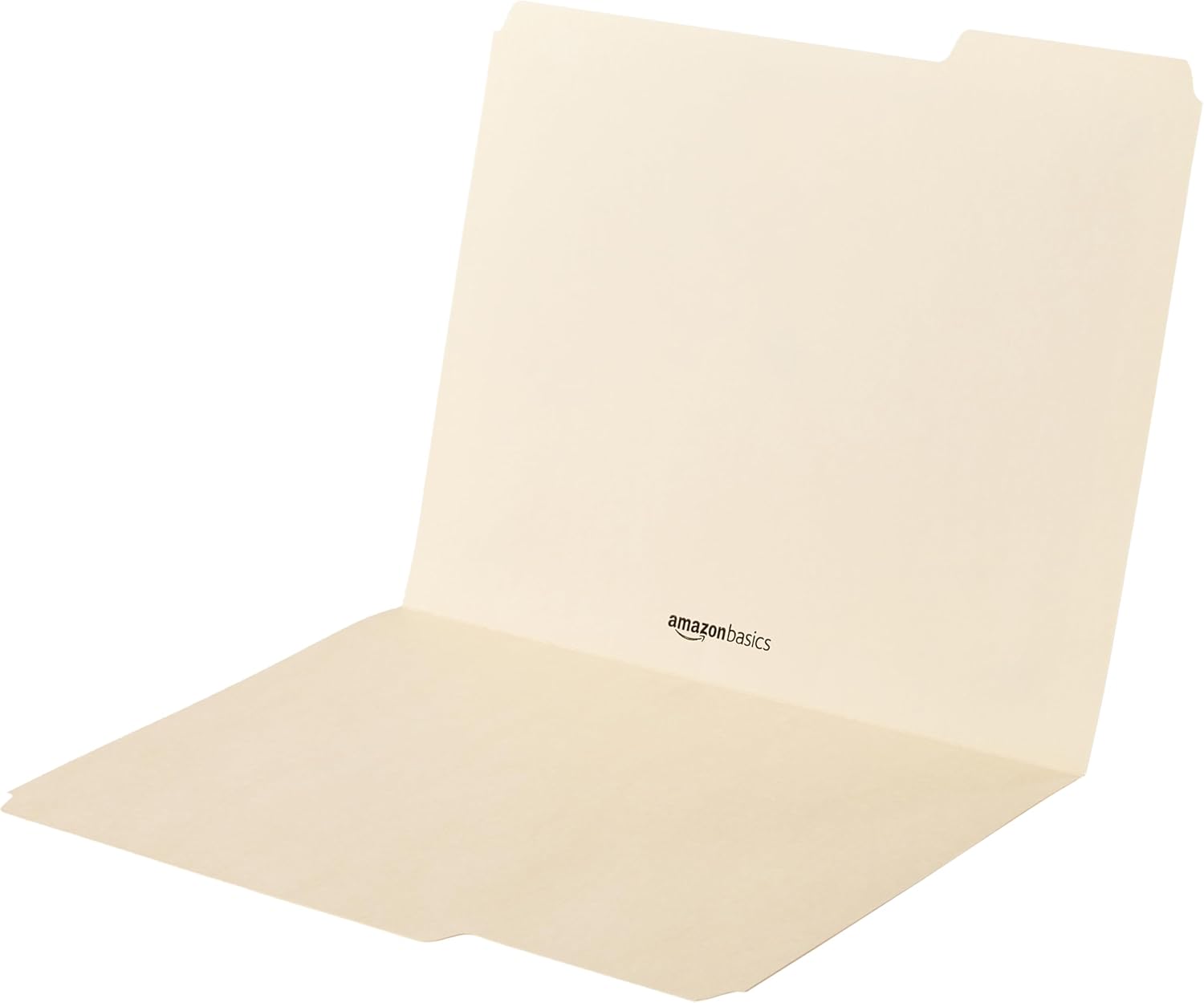 Sturdy File Folders with Reinforced Tabs for Filing and Organization, 1/3-Cut Tab, Assorted Positions, Letter Size