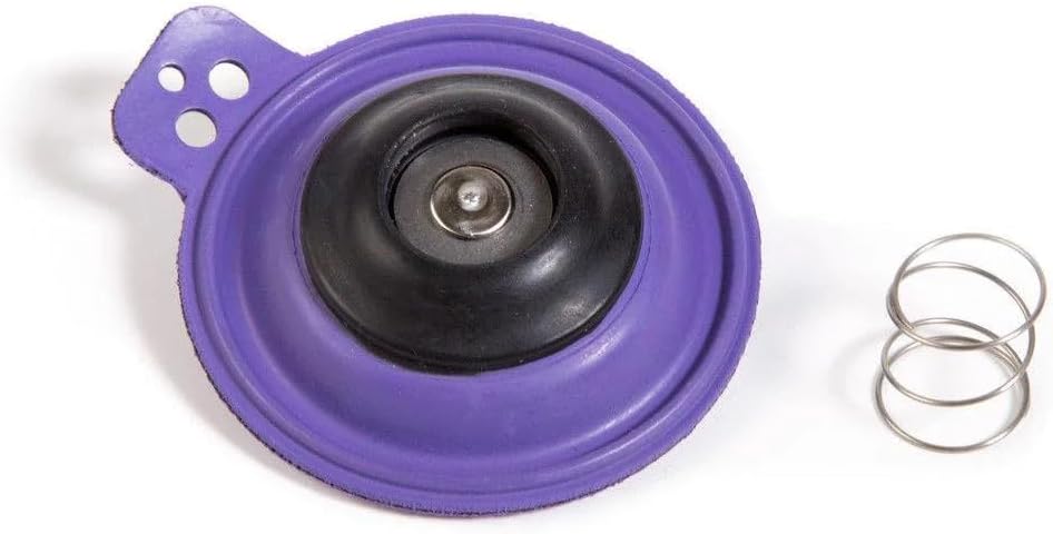 DIAPH100G - Diaphragm Repair Kit for 100 EFA Valves