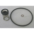 Dayton, 4JMY8, Pump Shaft Seal Kit, Seal Type 21