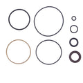 BH-Motor New Repair Seal Kit for Evinrude ETEC 75-115hp ETEC 2004-2012 Trim Piston Replace 5008985 FSM016