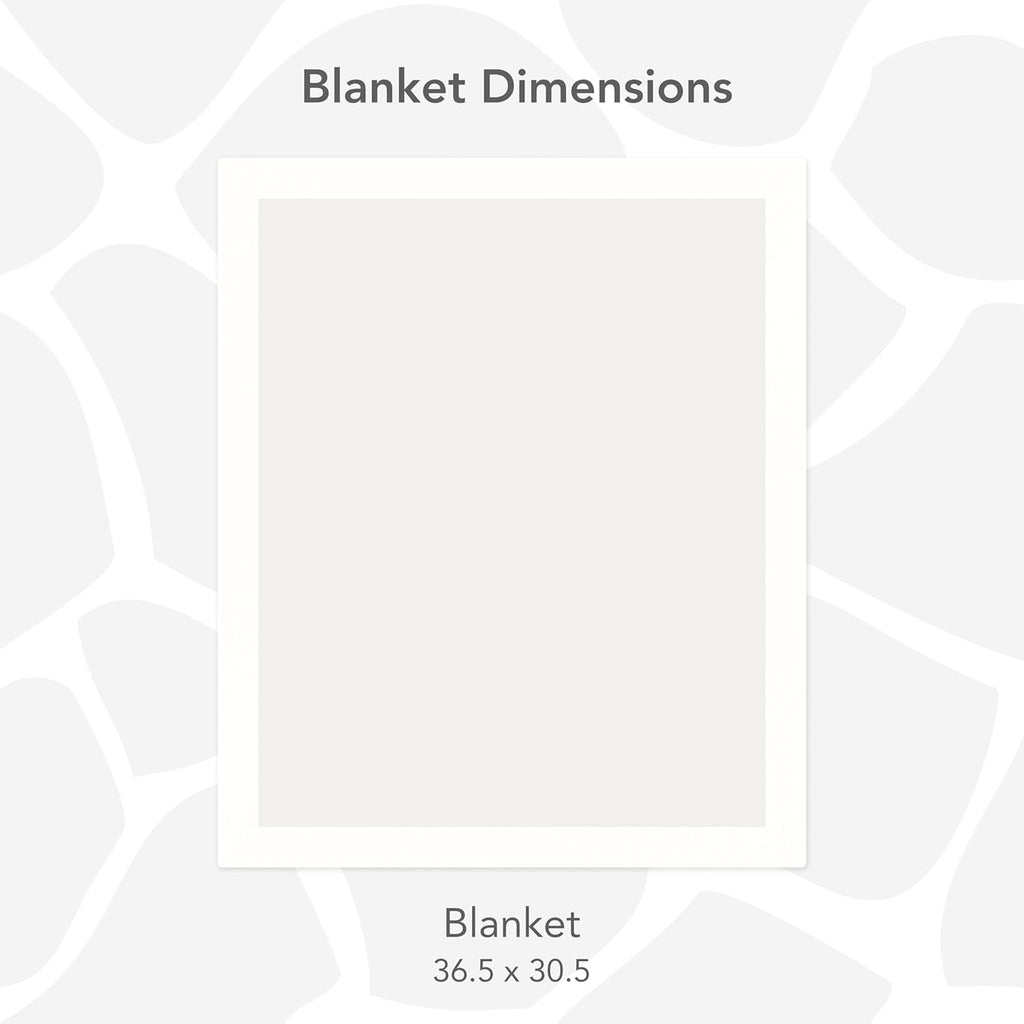 Posh Mink Baby Blanket - Double-Sided Ultra Soft Plush Fabric, for New Moms, Newborn Must-Have for Girls & Boys, Cozy