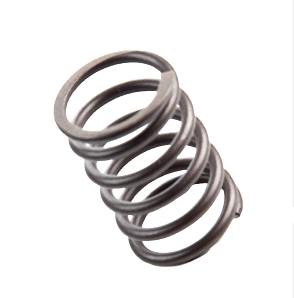 Eopzol 691279 Valve Spring Replacement for Briggs & Stratton Replaces 262811, 2-Pack
