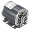 Carbonator Pump Motor, Cradle Base Mounting, 1/3 HP, 1,725 Nameplate RPM, 48Y Frame - 1 Each
