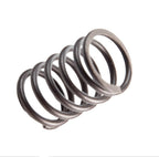 Eopzol 691279 Valve Spring Replacement for Briggs & Stratton Replaces 262811, 2-Pack