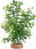 Aqualife Green Bacopa Plant, Plastic Aquarium Plant Decoration 8 in