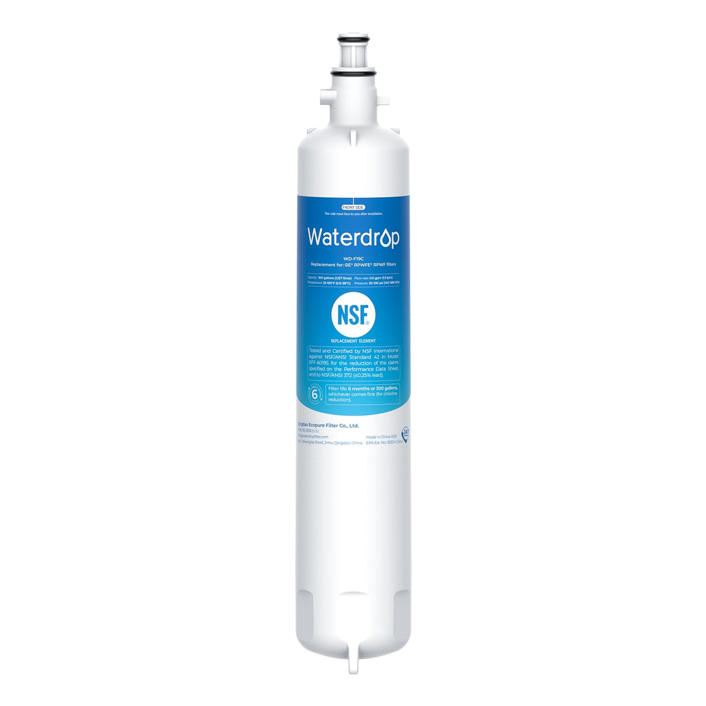 Waterdrop WD-F19C Refrigerator Water Filter Replacement for GE RPWFE