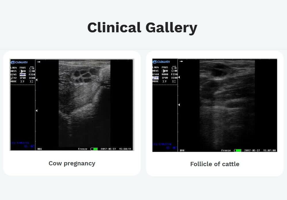 S1 Veterinary Ultrasound Machine for Pregnancy Portable Vet Handheld Scanner B-Ultra Sound Lightweight Ultrasound