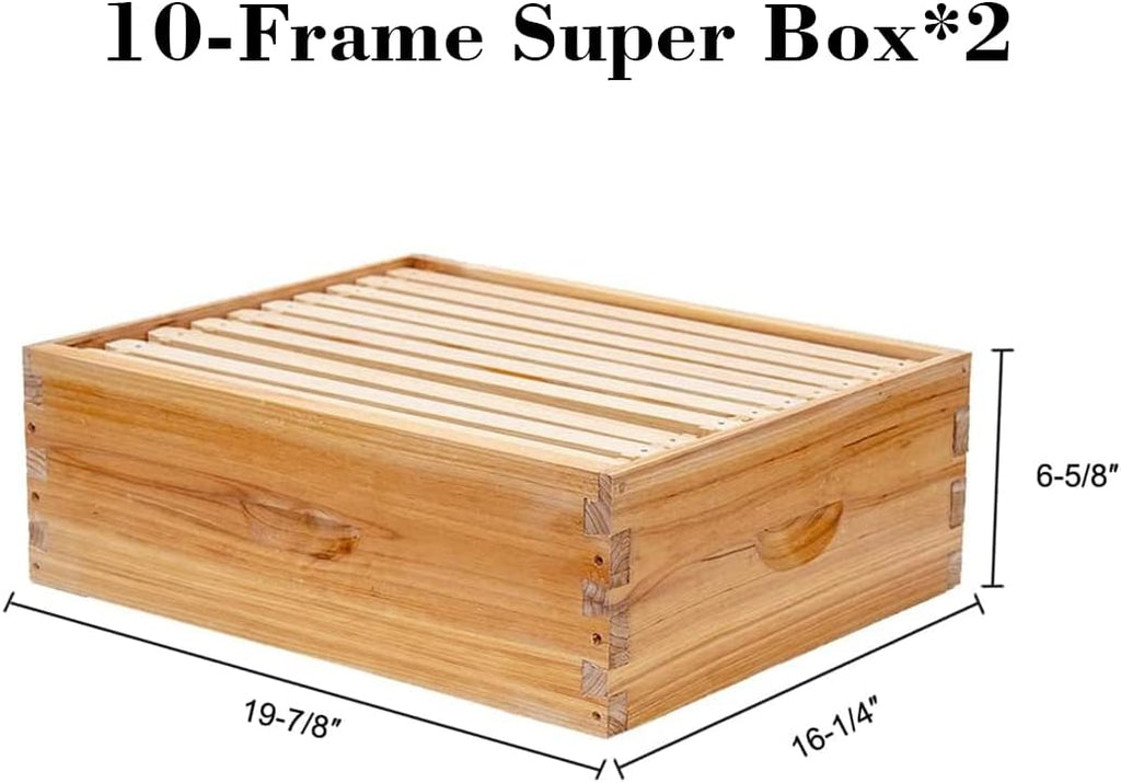 10 Frame Langstroth Bee Hive Coated with 100% Beeswax Includes Beehive Frames and Waxed Foundations (2 Deep Boxes & 2
