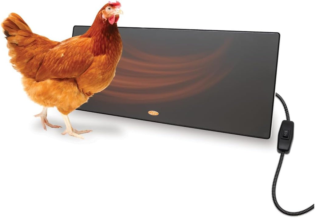 Cozy Coop Chicken Coop Heater, Flat-Panel, 150 Watts