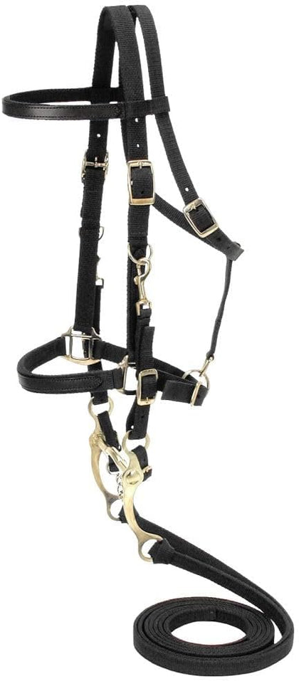 Australian Outrider Nylon Halter Bridle with Reins