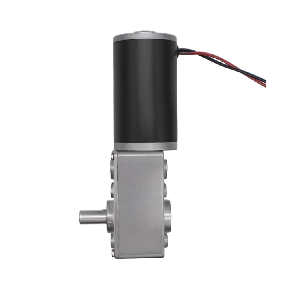 5840-36ZY DC 24V Worm Gear Metal Reducer Motor,Torque 100KG.CM, Speed 40