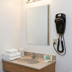 Wall-Mount Hair Dryer - Plug-in with Night Light - Black - JWM8CB