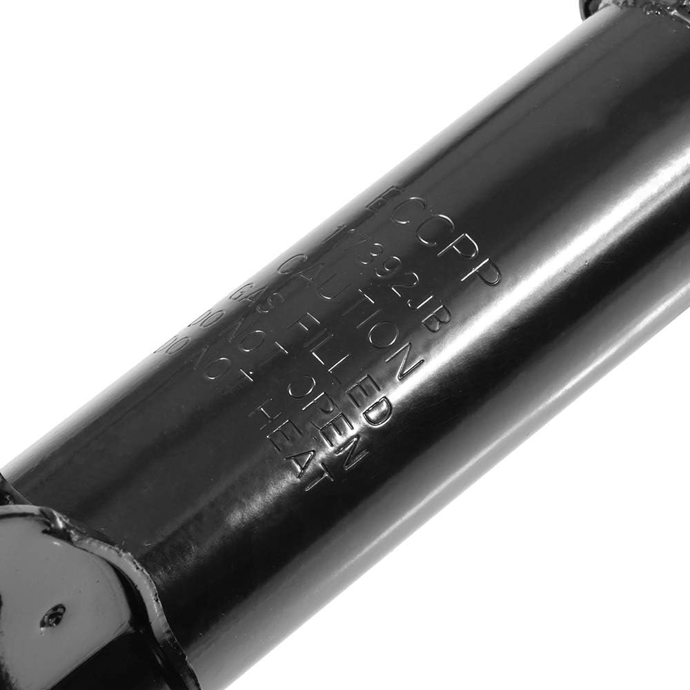 ECCPP 2x Front Complete Struts Spring Assembly Fit for Subaru Outback