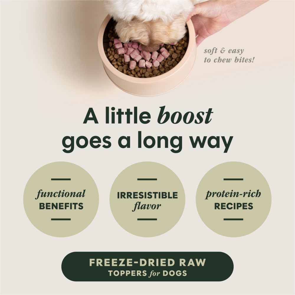 Raw Boost Mixers Skin & Coat Health Freeze-Dried Dog Food Topper, 12.5 oz. Bag