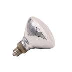 Mercury Vapor Bulb (100, Watts)
