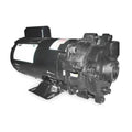 Dayton Cast Iron 1-1/2 HP Centrifugal Pump 115/208-230V 2ZWP7-1 Each