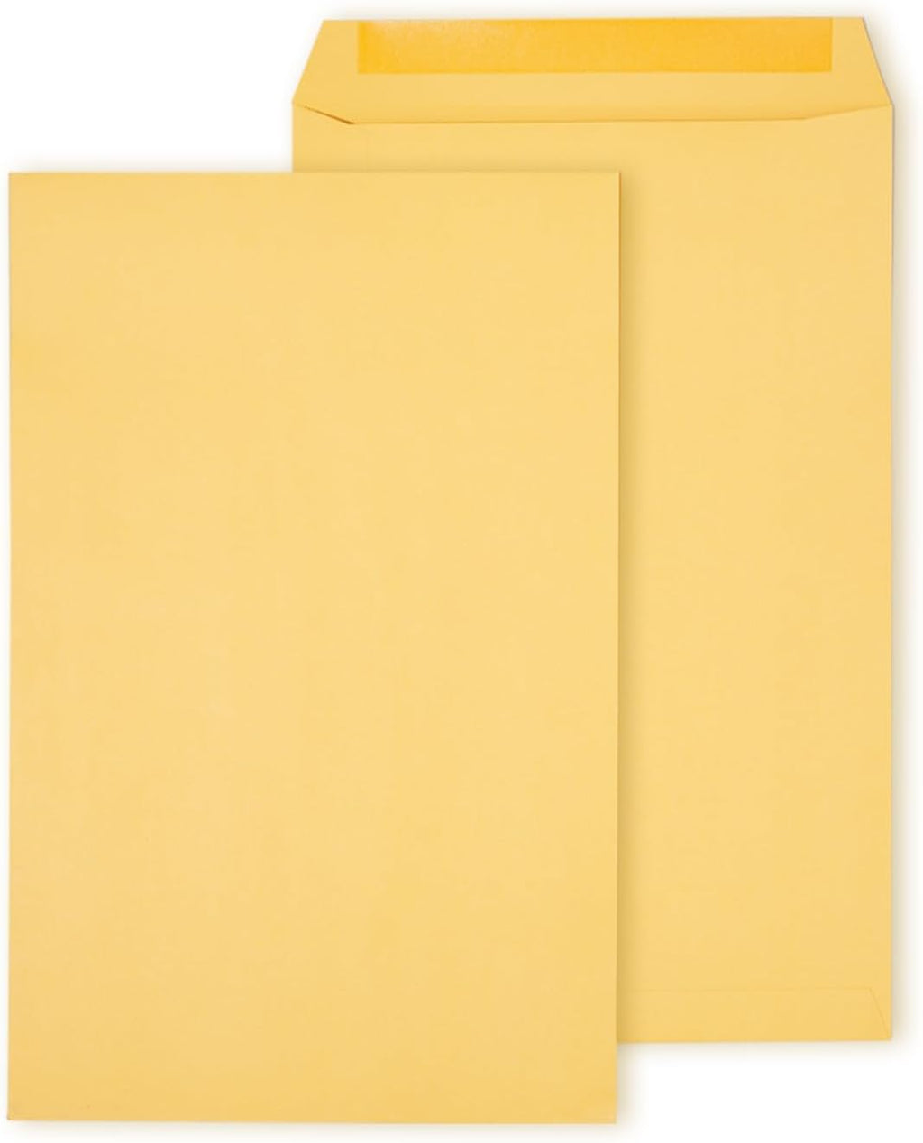 10x15 Kraft Clasp Catalog Envelopes, Brown, 100/Pack
