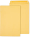 10x15 Kraft Clasp Catalog Envelopes, Brown, 100/Pack