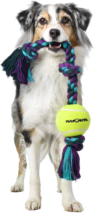 Mammoth Flossy Chews Color 3 Knot Tug w/Standard Tennis Ball – Premium Cotton-Poly Tug Toy for Dogs, Interactive Rope