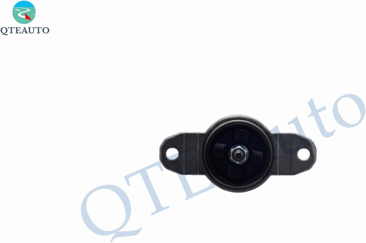PM Auto Pair of 2 Rear Complete Shock Absorber Kit Compatible With 2013-2019 Ford Escape Monotube
