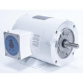 Leeson Washdown Motor,1/2HP,3-Phase Design,60Hz 113586.00-1 Each