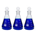 250ml Glass Erlenmeyer Flask Set, 3pcs Laboratory Glassware Flask with Glass Stopper for Chemistry Classroom Home