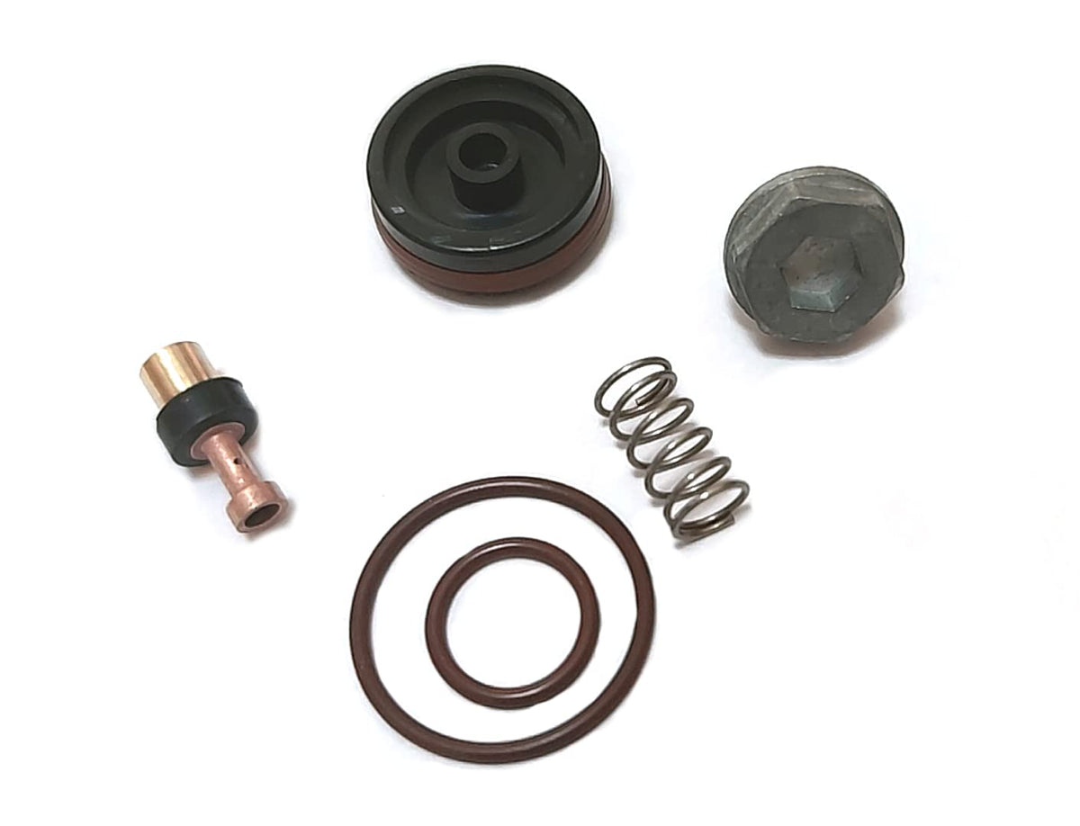 N008792 Replacement Regulator Repair Kit,Fits D55155 D55168 D55167