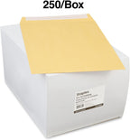 9x12 Brown Kraft EasyClose Catalog Envelopes, 100/Carton