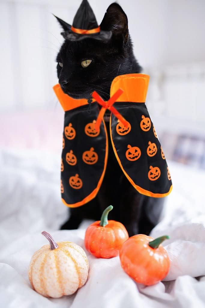 Halloween Cat Costume Cloak Witch Hat Pet Accessories Halloween Adjustable Pumpkin Pet Costumes Clothes Set