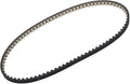 GM Genuine Parts 55493234 Timing Belt