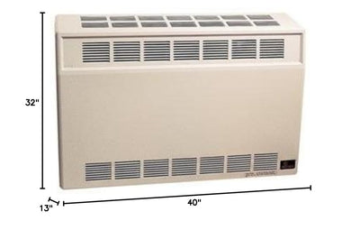 Direct-Vent Wall Furnace Size: 35,000 Btu, Fuel: Liquid Propane