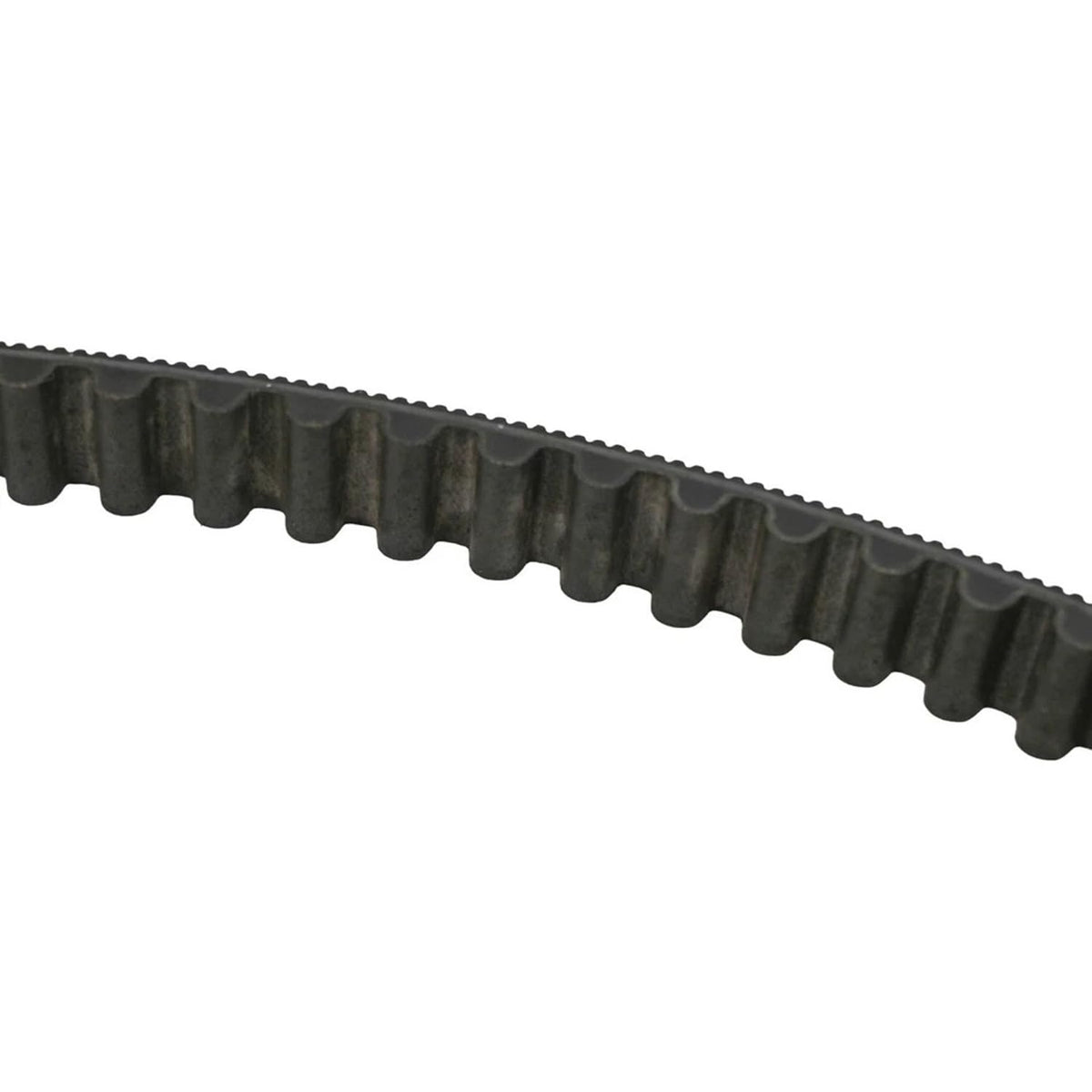 134T 24mm Drive Belt Compatible with Harley Davidson